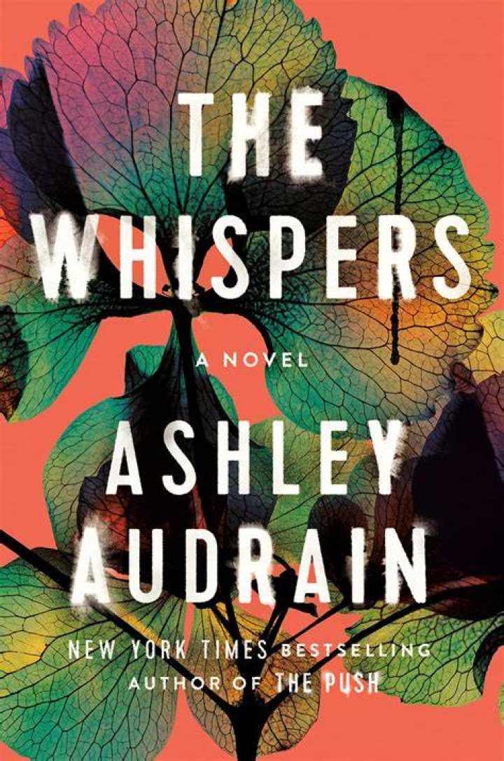 
Aneesa Folds Height, Weight, Net Worth, Age, Birthday, Wikipedia, Who, Nationality, Biography 