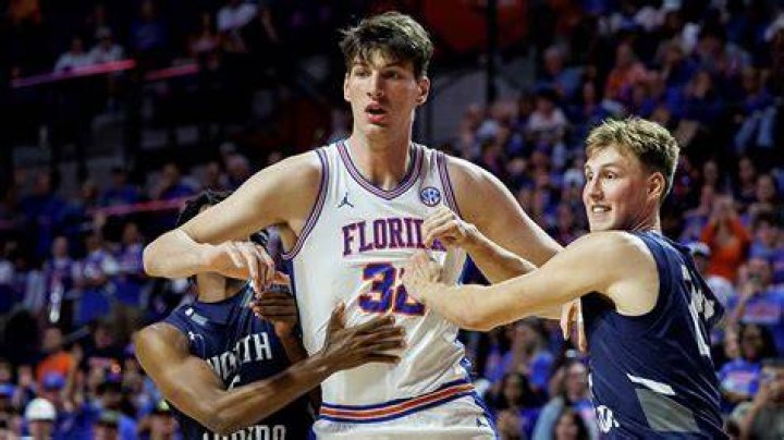 Brabo Gator Height, Weight, Net Worth, Age, Birthday, Wikipedia, Who, Instagram, Biography