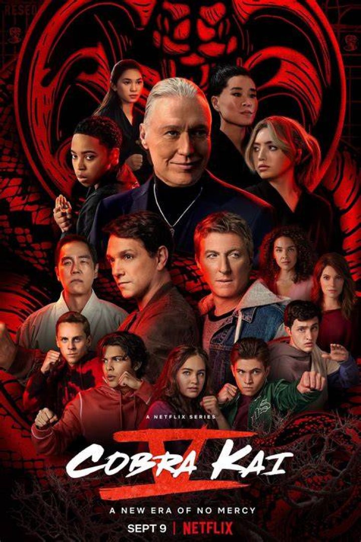 
Cobra Kai Season 5 Release Date Time Plot When Will New Episodes Premiere? 