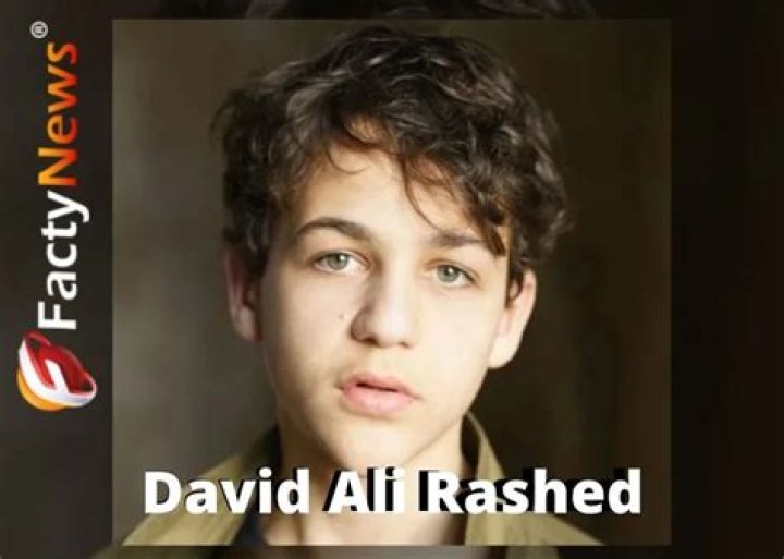 David Ali Rashed Height, Weight, Net Worth, Age, Birthday, Wikipedia, Who, Instagram, Biography