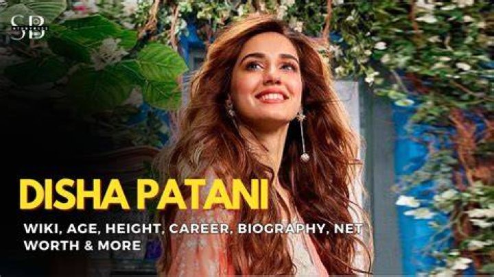 
Disha Valkani Height, Weight, Net Worth, Age, Birthday, Wikipedia, Who, Nationality, Biography 