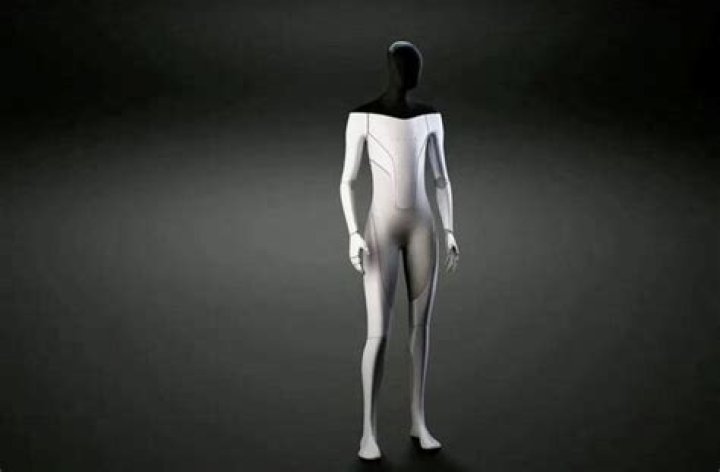 
Elon Musk set to showcase Tesla’s humanoid robot after delay 
