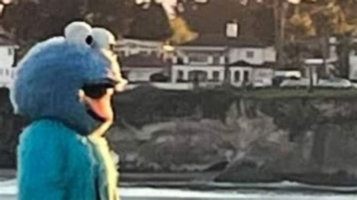 
Is actor Adam Sandler the Cookie Monster harassing people in Santa Cruz? Eponymous suspect creates confusion 