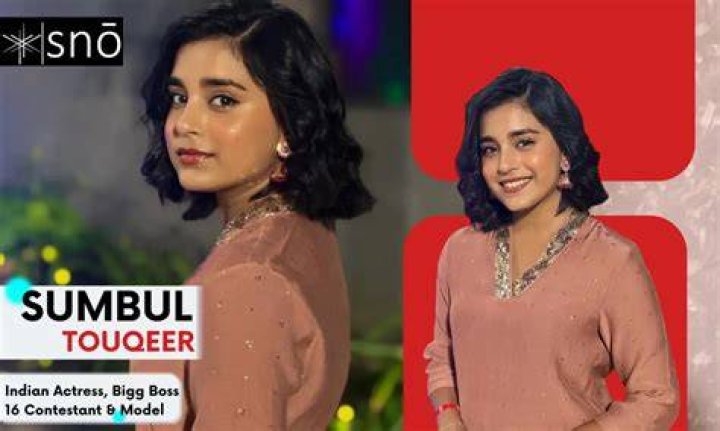 Sumbul Touqeer Height, Weight, Net Worth, Age, Birthday, Wikipedia, Who, Instagram, Biography