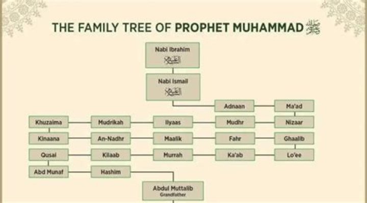 
Who Are Muhammad And Kareem Abdullah? Ameer Abdullah Brothers, Family Tree And Net Worth 