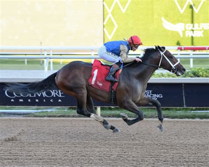 Who Is Andrea Saez? Meet The Wife Of The Jockey Luis Saez- Their Married Life Explored