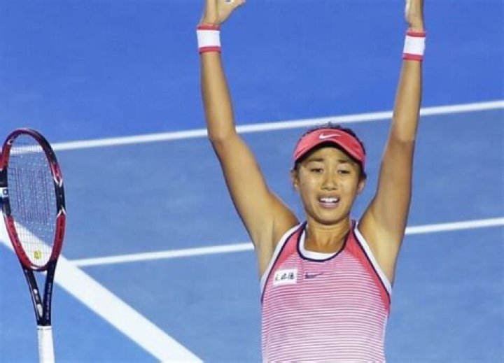 
Zhang Shuai Height, Weight, Net Worth, Age, Birthday, Wikipedia, Who, Instagram, Biography 